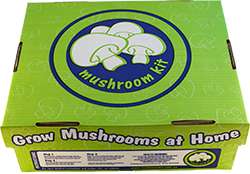 White button mushroom kit