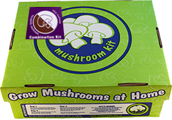 White button and portabello combination mushroom kit