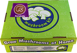 Portabello mushroom kit