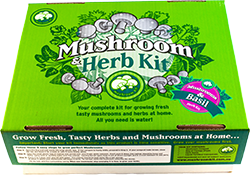 Mushroom and basil herb kit