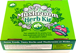 Mushroom and coriander herb kit