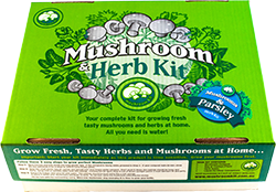 Mushroom and parsley herb kit